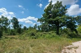 ISTRA, VIŠNJAN - Poljoprivredno zemljište nedaleko od naselja sa pogledom na Učku, Višnjan, Land