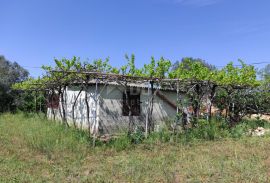 ISTRA, FAŽANA Kuća 66m2 na prostranom zemljištu!, Fažana, House