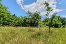 ISTRA, BARBAN - Građevinsko zemljište u mirnom naselju, Barban, Land