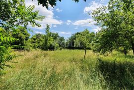 ISTRA, BARBAN - Građevinsko zemljište u mirnom naselju, Barban, Terrain