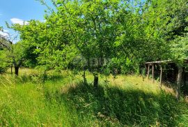 ISTRA, BARBAN - Građevinsko zemljište u mirnom naselju, Barban, Land