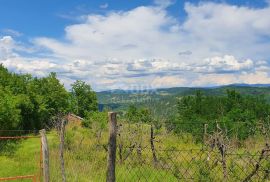 ISTRA, PAZIN - Prostrano poljoprivredno zemljište, Pazin - Okolica, Land