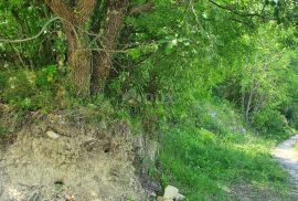 ISTRA, PAZIN - Prostrano poljoprivredno zemljište, Pazin - Okolica, Land