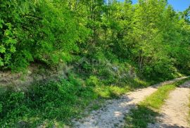 ISTRA, PAZIN - Prostrano poljoprivredno zemljište, Pazin - Okolica, Land