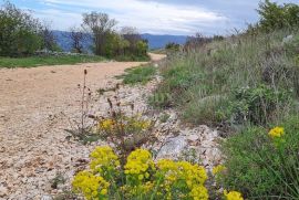 ISTRA, RABAC - Zemljište uz more, Labin, Land