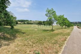 ISTRA, PAZIN - Prostrano građevinsko zemljište stambene namjene, Pazin, Arazi