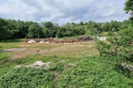 ISTRA, PAZIN - Prostrano građevinsko zemljište stambene namjene, Pazin, Arazi