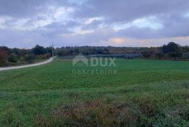 ISTRA, POREČ - Prostrano poljoprivredno zemljište od 1ha, Poreč, Arazi