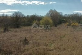 ISTRA, POREČ- prostrano poljoprivredno zemljište, Poreč, Land