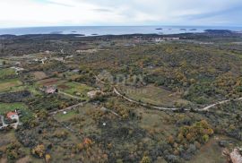 ISTRA, ROVINJ Poljoprivredno zemljište 2,5 km od mora!, Rovinj, Terrain