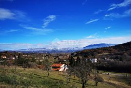 PAZIN, CEROVLJE, BORUT - građevinsko zemljište za stambenu zgradu-stanove -apartmane / obiteljsku kuću / kuću za iznajmljivanje - odmor s bazenom, Cerovlje, Land