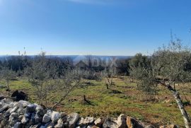 ISTRA, TRGET - Poljoprivredno zemljište 3129 m2 sa predivnim pogledom prema Raškom zaljevu, Raša, Земля