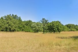 ISTRA, BARBAN - Prostrano građevinsko zemljište, Barban, Terreno