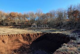 ISTRA, SVETVINČENAT - Imanje na osami s izgrađenom kućom, 27.283m2, Svetvinčenat, Maison