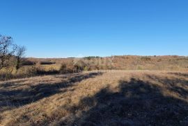 ISTRA, GROŽNJAN - Kompleks građevinskog i poljoprivrednog zemljišta panoramskog pogleda, Grožnjan, Земля