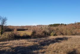 ISTRA, GROŽNJAN - Kompleks građevinskog i poljoprivrednog zemljišta panoramskog pogleda, Grožnjan, Земля