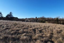 ISTRA, GROŽNJAN - Kompleks građevinskog i poljoprivrednog zemljišta panoramskog pogleda, Grožnjan, Земля