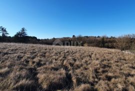 ISTRA, GROŽNJAN - Kompleks građevinskog i poljoprivrednog zemljišta panoramskog pogleda, Grožnjan, Земля