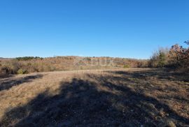 ISTRA, GROŽNJAN - Kompleks građevinskog i poljoprivrednog zemljišta panoramskog pogleda, Grožnjan, Земля