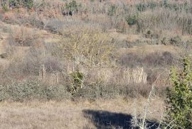 ISTRA, GROŽNJAN - Kompleks građevinskog i poljoprivrednog zemljišta panoramskog pogleda, Grožnjan, Земля