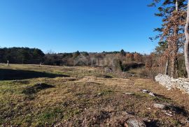 ISTRA, GROŽNJAN - Kompleks građevinskog i poljoprivrednog zemljišta panoramskog pogleda, Grožnjan, Земля