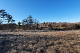 ISTRA, GROŽNJAN - Kompleks građevinskog i poljoprivrednog zemljišta panoramskog pogleda, Grožnjan, Земля