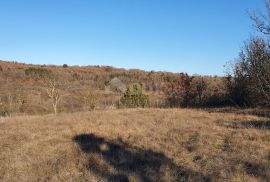 ISTRA, GROŽNJAN - Kompleks građevinskog i poljoprivrednog zemljišta panoramskog pogleda, Grožnjan, Земля