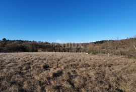 ISTRA, GROŽNJAN - Kompleks građevinskog i poljoprivrednog zemljišta panoramskog pogleda, Grožnjan, Земля