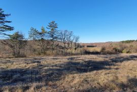 ISTRA, GROŽNJAN - Kompleks građevinskog i poljoprivrednog zemljišta panoramskog pogleda, Grožnjan, Земля