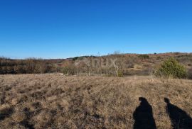 ISTRA, GROŽNJAN - Kompleks građevinskog i poljoprivrednog zemljišta panoramskog pogleda, Grožnjan, Земля