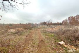 ISTRA, VODNJAN - Veće građevinsko zemljište s projektima, Vodnjan, Land