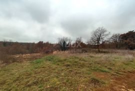 ISTRA, VODNJAN - Veće građevinsko zemljište s projektima, Vodnjan, Land