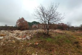 ISTRA, VODNJAN - Veće građevinsko zemljište s projektima, Vodnjan, Land