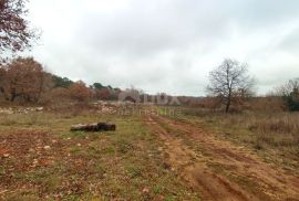 ISTRA, VODNJAN - Veće građevinsko zemljište s projektima, Vodnjan, Land