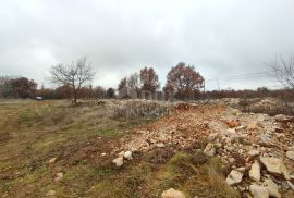 ISTRA, VODNJAN - Veće građevinsko zemljište s projektima, Vodnjan, Land