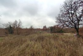 ISTRA, VODNJAN - Veće građevinsko zemljište s projektima, Vodnjan, Land