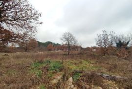 ISTRA, VODNJAN - Veće građevinsko zemljište s projektima, Vodnjan, Land