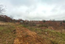 ISTRA, VODNJAN - Veće građevinsko zemljište s projektima, Vodnjan, Land