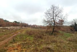 ISTRA, VODNJAN - Veće građevinsko zemljište s projektima, Vodnjan, Land