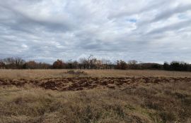 ISTRA, BALE - Prostrano građevinsko zemljište, idealno za investiciju, Bale, Land