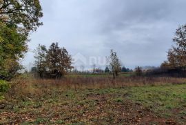 ISTRA, ŽMINJ - Građevinsko zemljište 2371m2 u mirnom naselju nedaleko od centra, Žminj, Terra