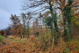 ISTRA, ŽMINJ - Građevinsko zemljište 2371m2 u mirnom naselju nedaleko od centra, Žminj, Arazi