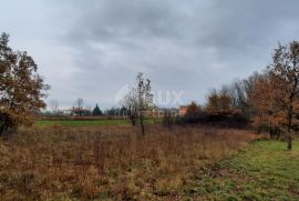 ISTRA, ŽMINJ - Građevinsko zemljište 2371m2 u mirnom naselju nedaleko od centra, Žminj, Arazi