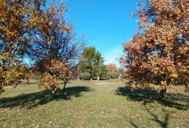 ISTRA, POREČ- Atraktivno zemljište za turističku namjenu, Poreč, Terreno