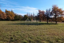 ISTRA, POREČ- Atraktivno zemljište za turističku namjenu, Poreč, Terreno