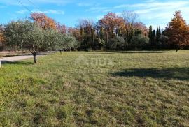 ISTRA, POREČ- Atraktivno zemljište za turističku namjenu, Poreč, Terreno