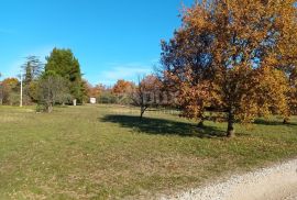 ISTRA, POREČ- Atraktivno zemljište za turističku namjenu, Poreč, Terreno