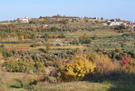 ISTRA, MOMJAN - Zemljište s pogledom i građevinskom dozvolom za gradnju više objekata, Buje, Terrain