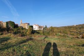 ISTRA, MOMJAN - Zemljište s pogledom i građevinskom dozvolom za gradnju više objekata, Buje, Terrain