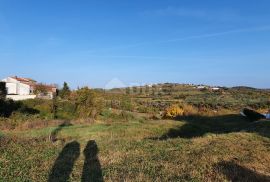 ISTRA, MOMJAN - Zemljište s pogledom i građevinskom dozvolom za gradnju više objekata, Buje, Terrain